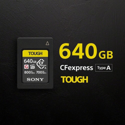 Карта памяти Sony 640GB CEA-G (CEAG640T.SYM)