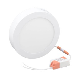 Світильник точковий Євросвітло LED-SR-170-12 4200К
