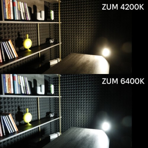 Прожектор Євросвітло ZUM F02-50 4200K