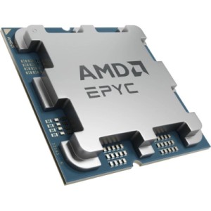 Процесор серверний AMD CPU EPYC 4004 Series (6C/12T Model 4244P (3.8/5.1GHz Max Boost, 32MB, 65W, SP3) Tray (100-000001480)