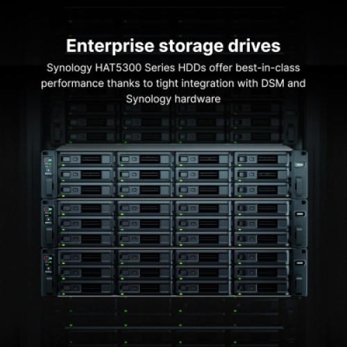 Жесткий диск для сервера Synology 3.5" 20TБ SAS 7200 (HAS5310-20T)