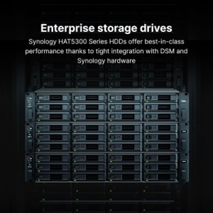 Жесткий диск для сервера Synology 3.5" 20TБ SATA 7200 (HAT5310-20T)