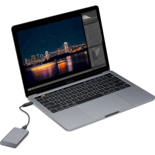 Накопитель SSD USB Type-C 500GB Mobile Secure LaCie (STKH500800)