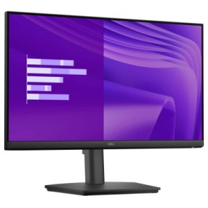 Монитор Dell E2425HSM (210-BRDV)