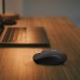 Мышка Xiaomi MiiiW Wireless/Bluetooth Black (MW23M22 Black)