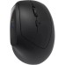 Мышка Canyon MW-25 LED Silent Wireless/Bluetooth Black (CNS-CMSW25)
