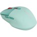Мышка Canyon MW-26 LCD Silent Wireless/Bluetooth Green (CNS-CMSW26GR)