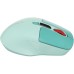 Мышка Canyon MW-26 LCD Silent Wireless/Bluetooth Green (CNS-CMSW26GR)