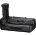 Батарейный блок Canon CF-R20EP (6538C001)