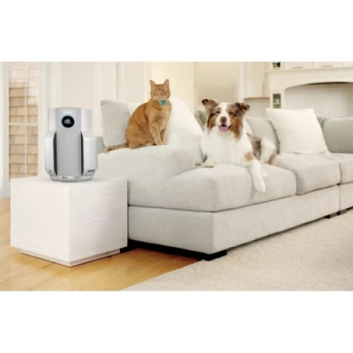 Воздухоочиститель Shark NeverChange5 Air Purifier (HP150EU)