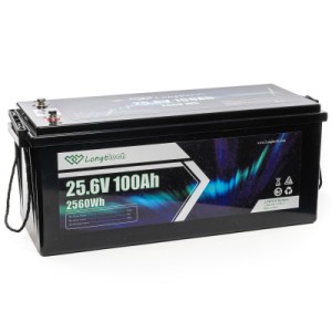 Батарея LiFePo4 Longttech 24V - 100Ah (LAR24100-LT160-P)