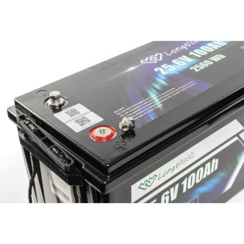 Батарея LiFePo4 Longttech 24V - 100Ah (LAR24100-LT160-P)