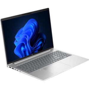 Ноутбук HP Probook 460 G11 (9C0C7EA)