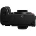 Цифровой фотоаппарат Panasonic Lumix DC-S1R II Body (DC-S1RM2E)