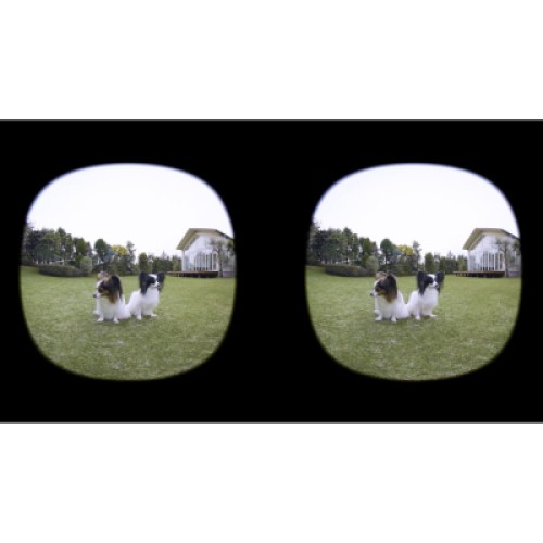 Объектив Canon RF 3.9mm f/3.5 Dual Fisheye (6578C005)