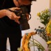 Объектив Canon RF 50mm f/1.4 L VCM (6908C005)