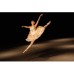 Объектив Sony 28-70mm f/2.0 GM for NEX FF (SEL2870GM.SYX)
