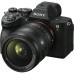 Объектив Sony FE 24-50mm F/2.8 G (SEL2450G.SYX)