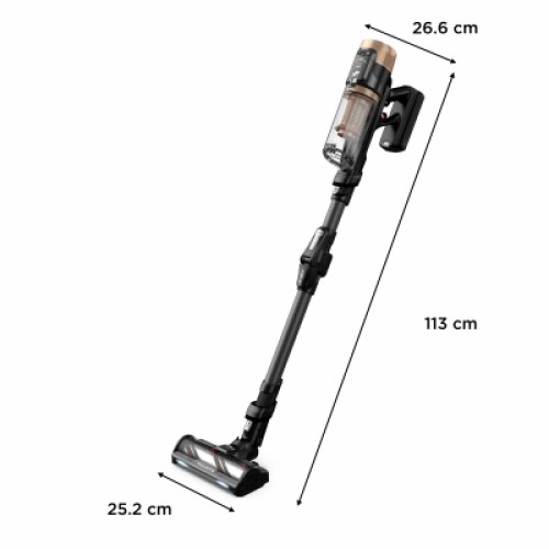Пылесос Rowenta RH9B74WO