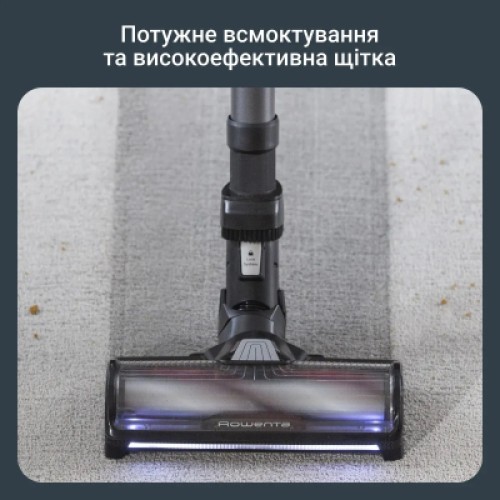 Пылесос Rowenta RH9B74WO
