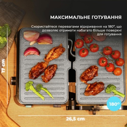 Электрогриль Cecotec Rock'nGrill 1500 Take&Clean (CCTC-02994)