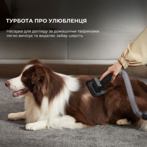 Пилосос Dreame Z30 (VZV17A)