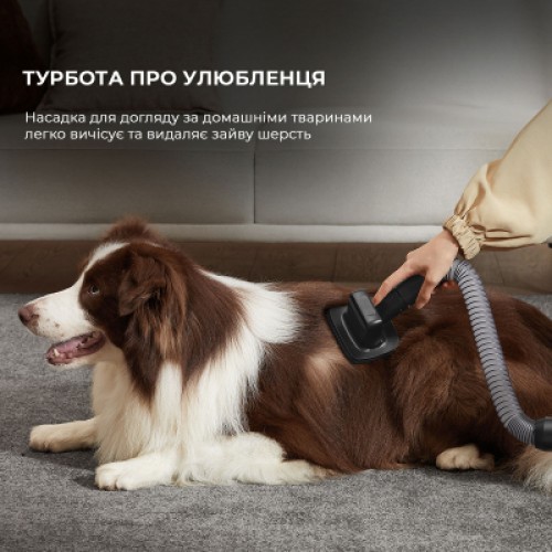 Пылесос Dreame Z30 (VZV17A)