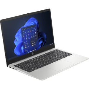 Ноутбук HP 245 G10 (AD1X9ET)