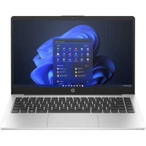 Ноутбук HP 245 G10 (AD1X9ET)