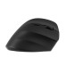 Мышка 2E MF325 Silent Wireless/Bluetooth Black (2E-MF325WBK)