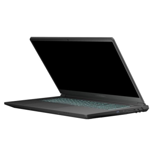 Ноутбук Thunderobot 911 X17 (911X17-i7136H56C1Q165MBD)