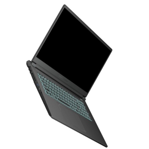 Ноутбук Thunderobot 911 X17 (911X17-i7136H56C1Q165MBD)