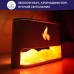 Увлажнитель воздуха Neor FLAME AROMA 25ML10 WT