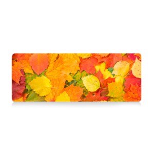 Килимок для мишки Voltronic Autumn leaves (FL372)