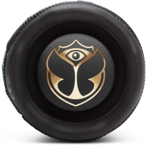 Акустическая система JBL Flip 7 Tomorrowland (JBLFLIP7TML)