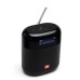Акустическая система JBL Tuner XL FM Black (JBLTUNERXLBLKEUNA)
