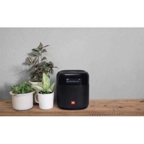 Акустическая система JBL Tuner XL FM Black (JBLTUNERXLBLKEUNA)