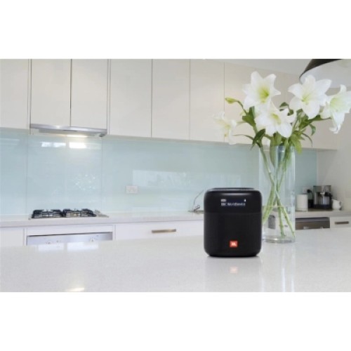 Акустическая система JBL Tuner XL FM Black (JBLTUNERXLBLKEUNA)