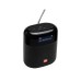 Акустическая система JBL Tuner XL FM Black (JBLTUNERXLBLKEUNA)