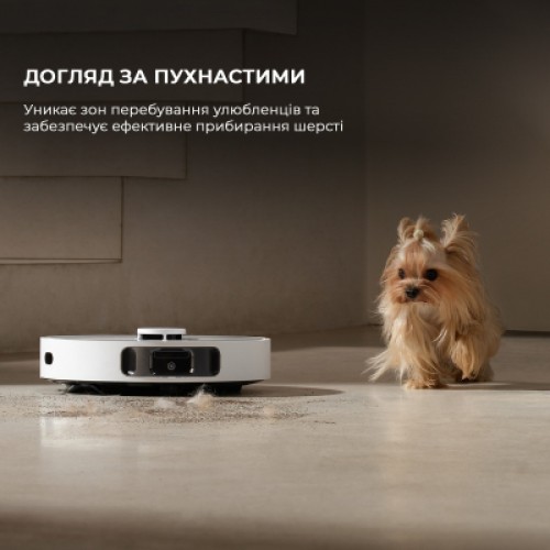 Пылесос Dreame Bot D20 Ultra (RLD31SE)