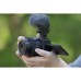 Объектив Sony 16-50mm f/3.5-5.6 OSS II for NEX (SELP16502B.SYX)