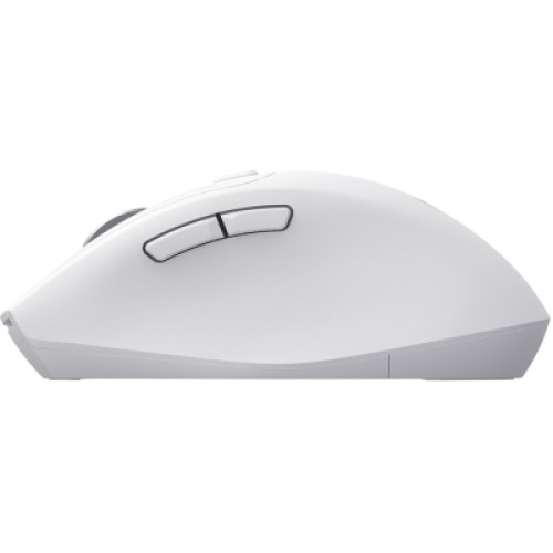 Мышка Havit HV-MS61WB Wireless/Bluetooth White (6939119041861)
