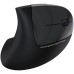 Мышка Havit HV-MS550GT Wireless Black (6939119019419)