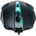 Мышка Havit HV-MS4239 USB Black (6939119042073)