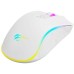Мышка Havit HV-MS1034 USB White (6939119065614)