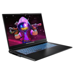 Ноутбук Dream Machines RG5070-17 (RG5070-17UA25)