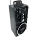 Акустическая система Media-Tech Boombox BT 18W Black (MT3150)