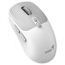 Мышка Genius NX-8080S Wireless/Bluetooth White/Grey (31030042401)
