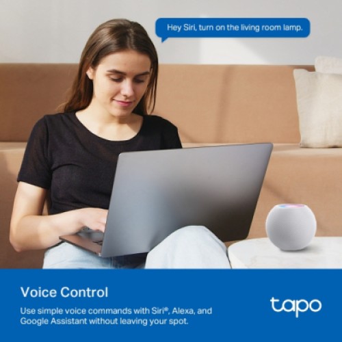 Умная розетка TP-Link Tapo P110M N300 BT 16A (TAPO-P110M)