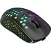 Мышка Canyon Haster GMW-18 Wireless Black (CND-SGMW18)